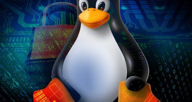 linux penguin security  large