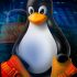 linux penguin security  large