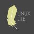 linux lite users are the first to try linux kernel   here s how to install it