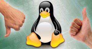 xl  linux review