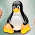 xl  linux review