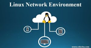 Linux Network Environment