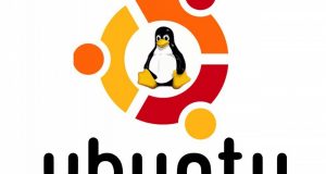 Ubuntu linux
