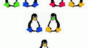 evolving penguin