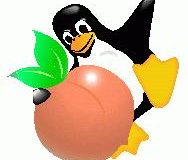 linux