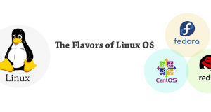linux flavour