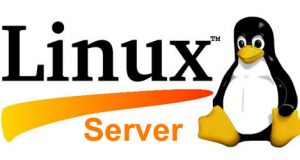 linux server