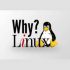 why linux